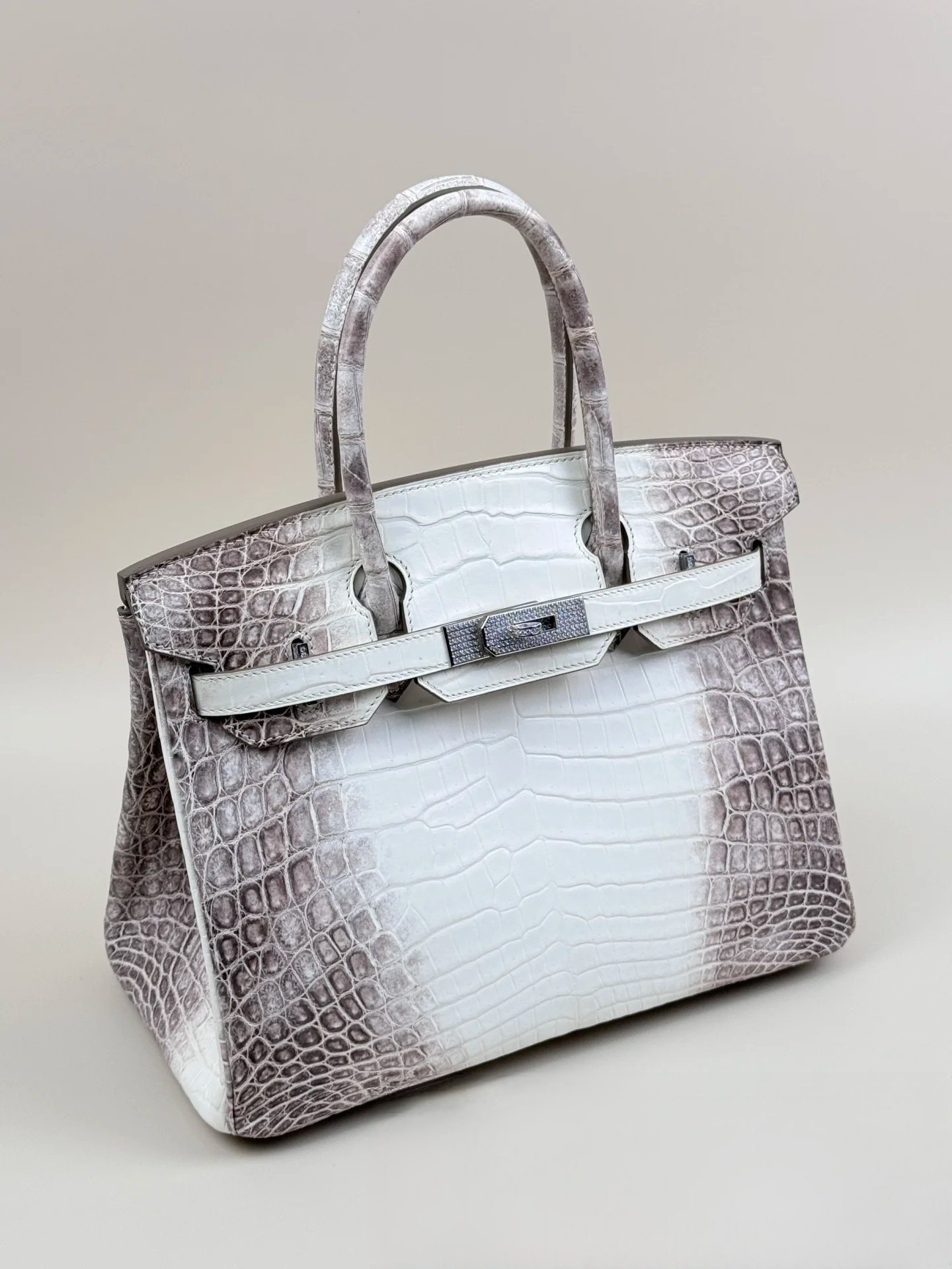 Hermès Himalayan Diamond Birkin Bag - Image 5