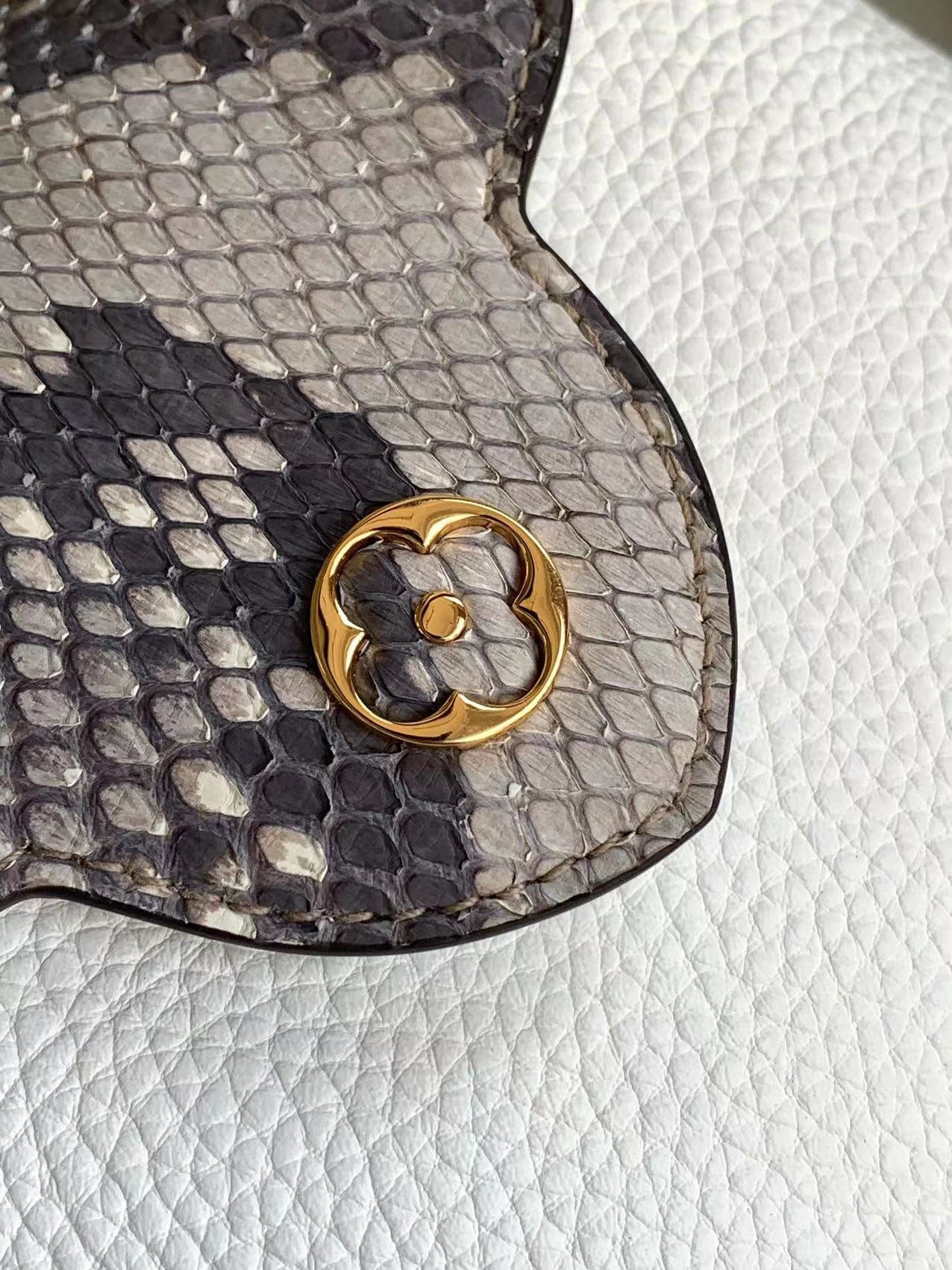 Louis Vuitton Capucines Mini handbag - Image 6