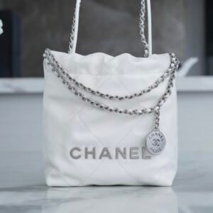 Chanel 23S 22Mini Bag