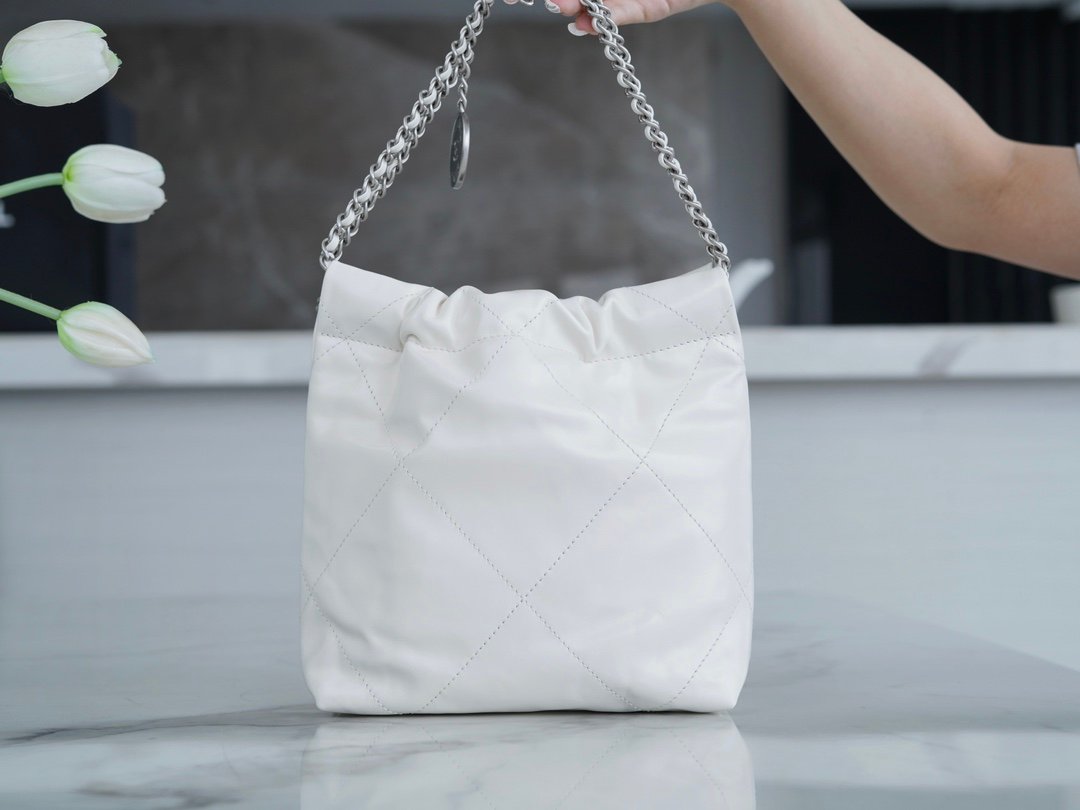 Chanel 23S 22Mini Bag - Image 4