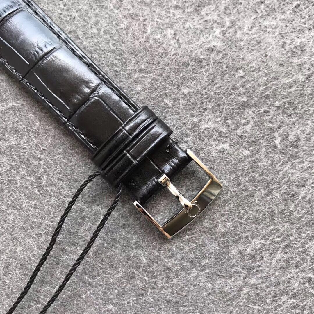 Omega Disc Fly: Elegant Dynamic Display - Image 6